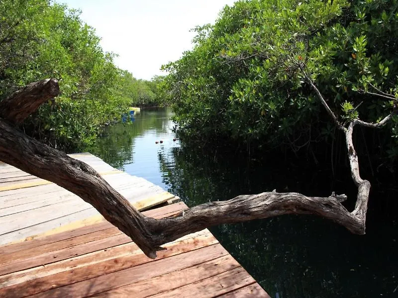 Hotel Maya Cabanas Y Cenote Tulum