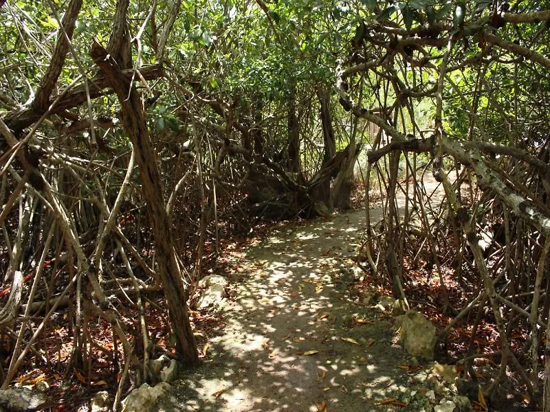 Hotel Maya Cabanas Y Cenote Tulum