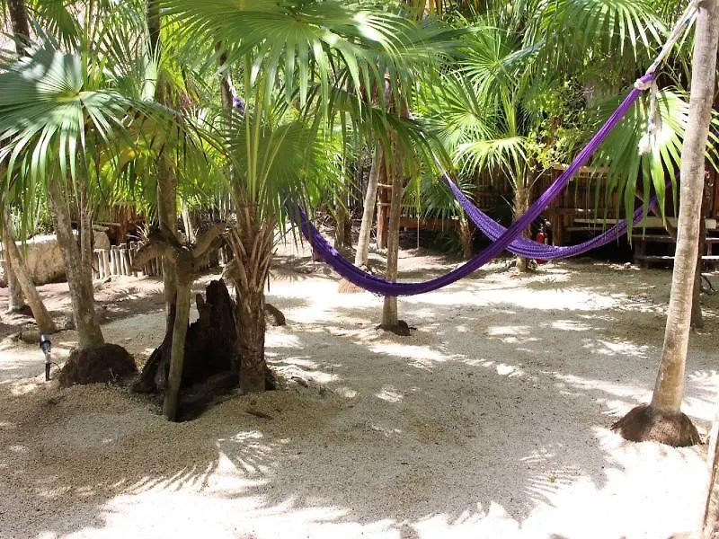 Hotel Maya Cabanas Y Cenote Tulum Mexico
