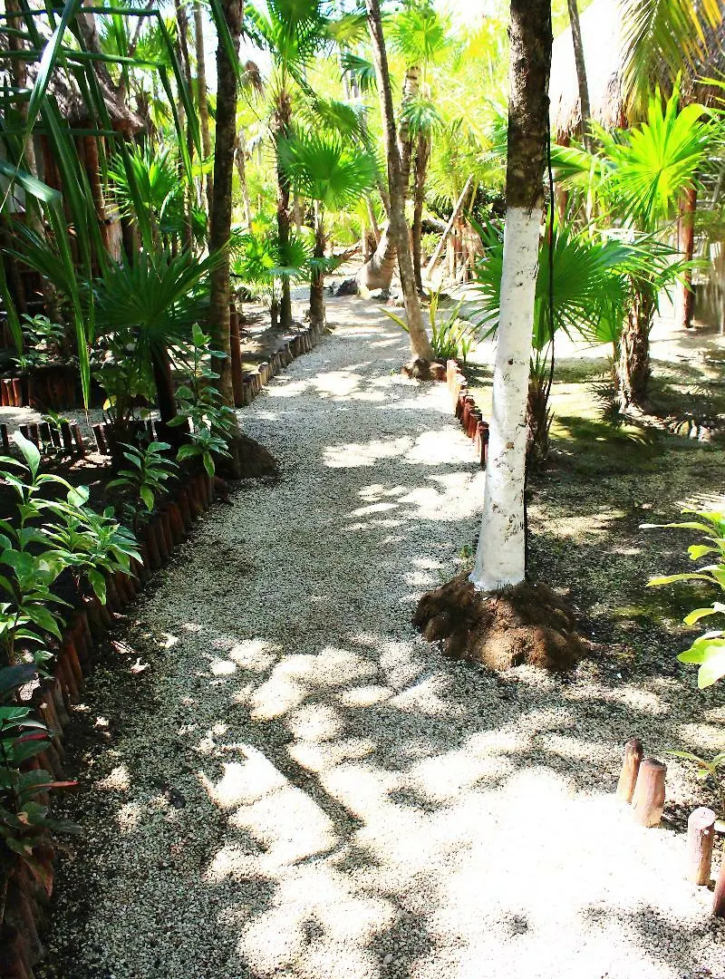 Hotel Maya Cabanas Y Cenote Tulum